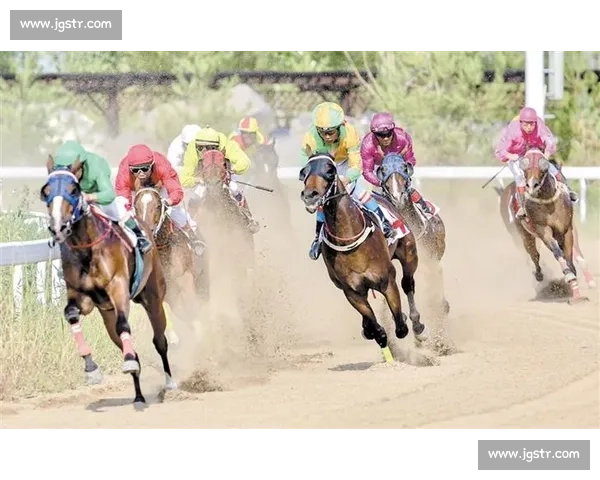 巅峰对决！国内顶级马术赛在邯郸激情开赛
