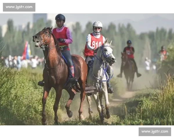 巅峰对决！国内顶级马术赛在邯郸激情开赛